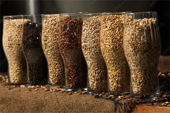 精釀啤酒原料-山東天泰<a href=http://www.hldcar.cn/ target=_blank class=infotextkey>啤酒設備</a>